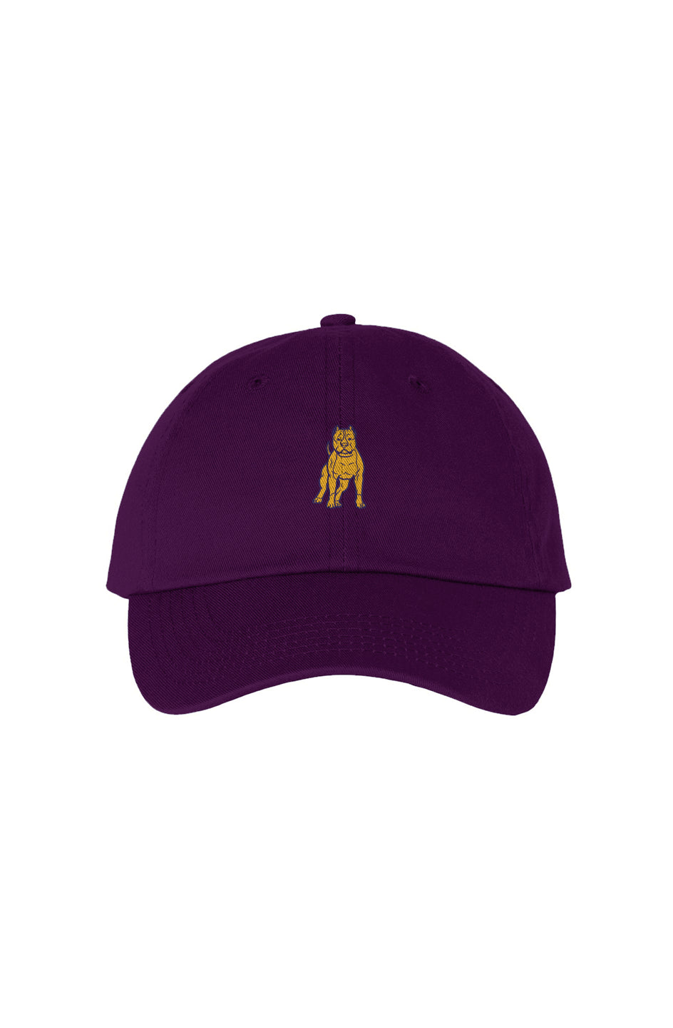 Omega Dad Hat