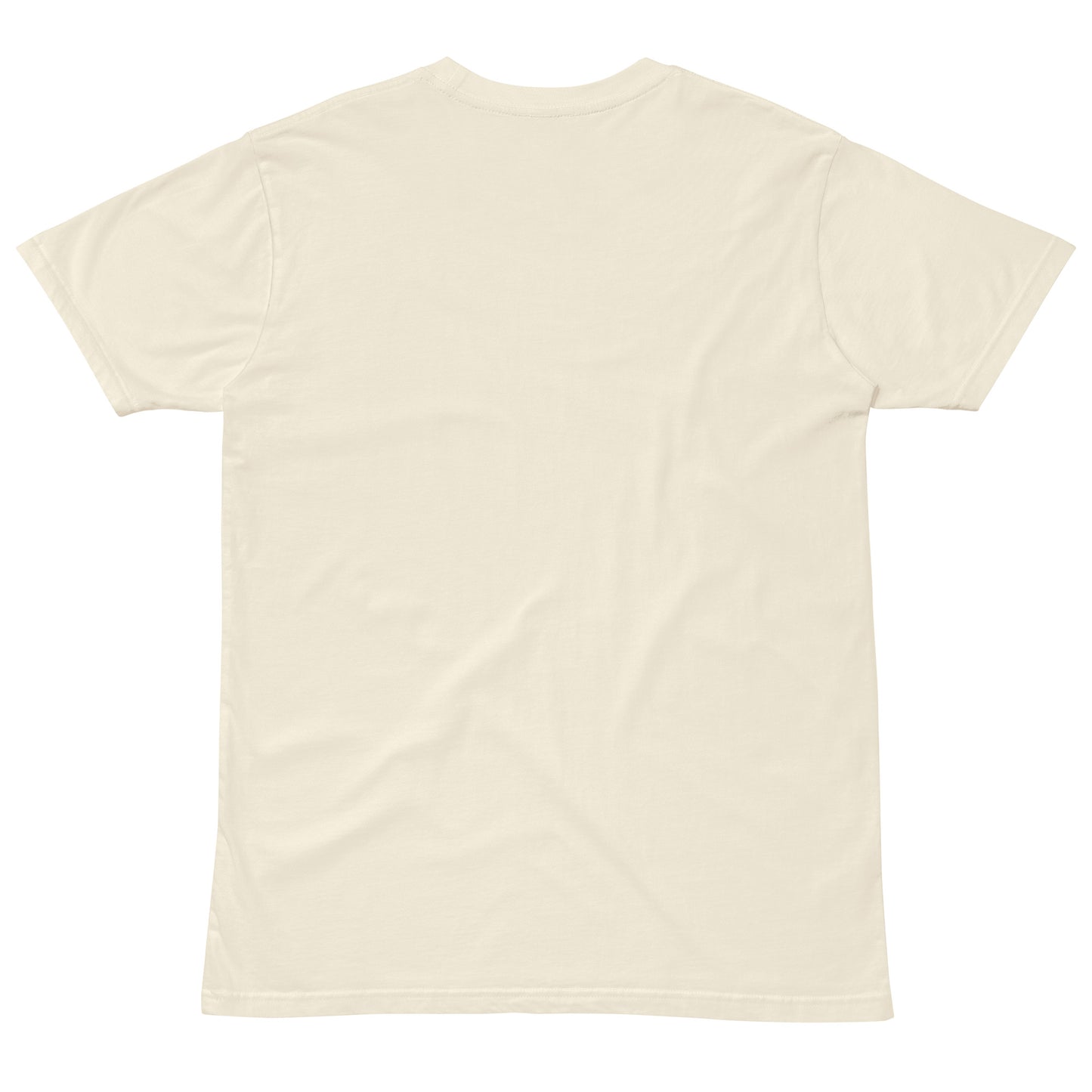 Kappa Essentials premium t-shirt